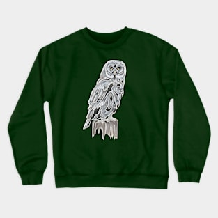 Great Grey Owl Crewneck Sweatshirt